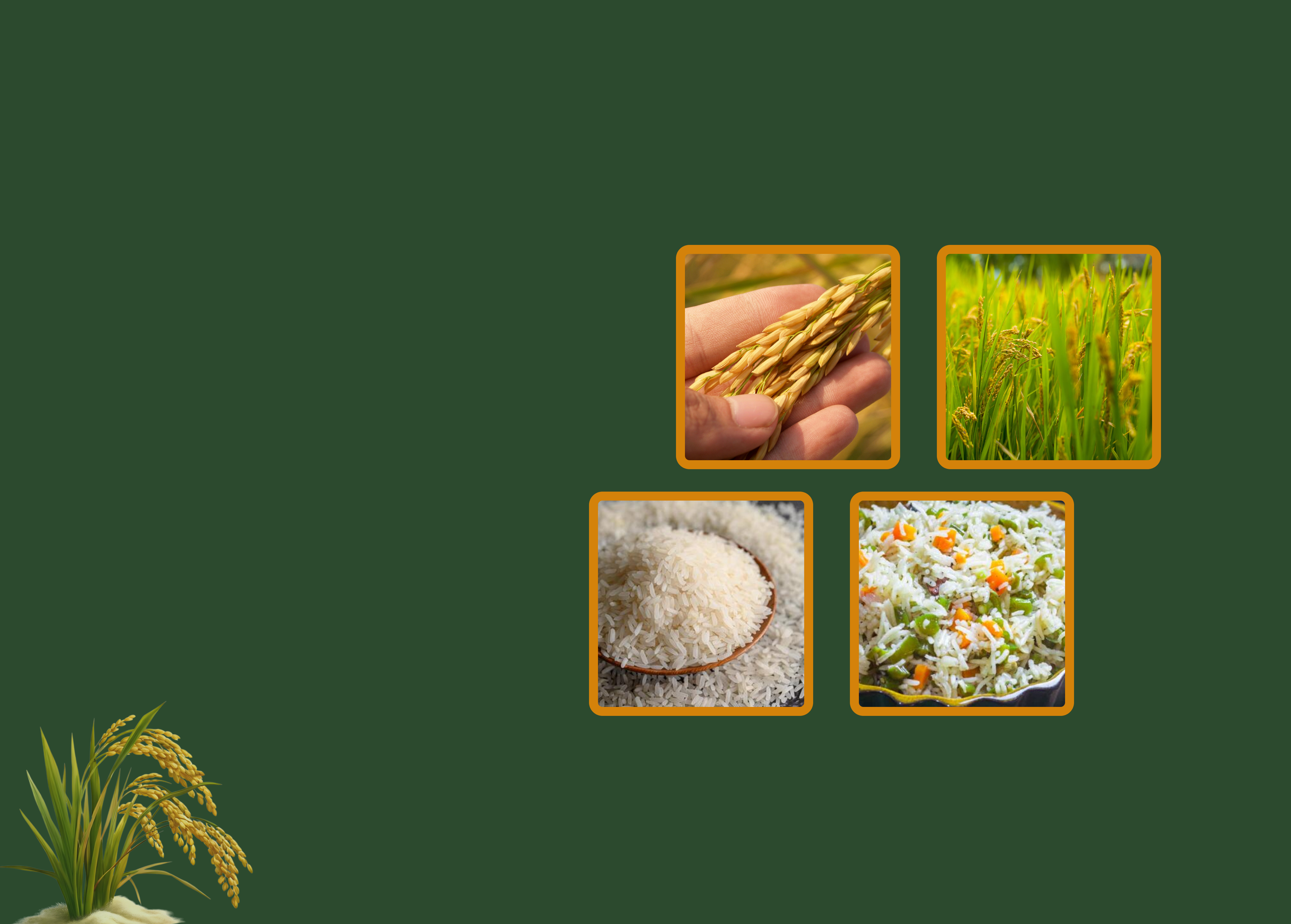 From Farm to Table — Toor Organic